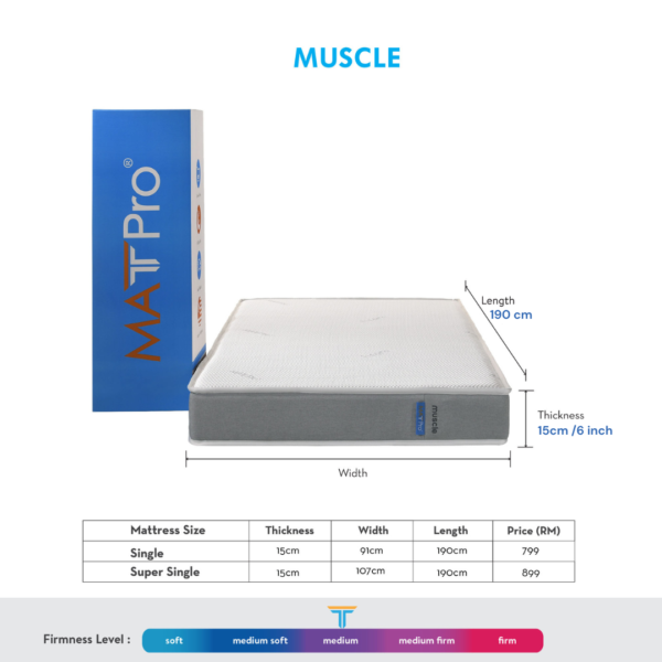 Muscle - Image 3