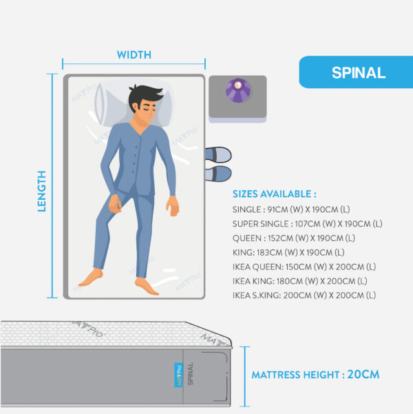 Spinal - Image 5