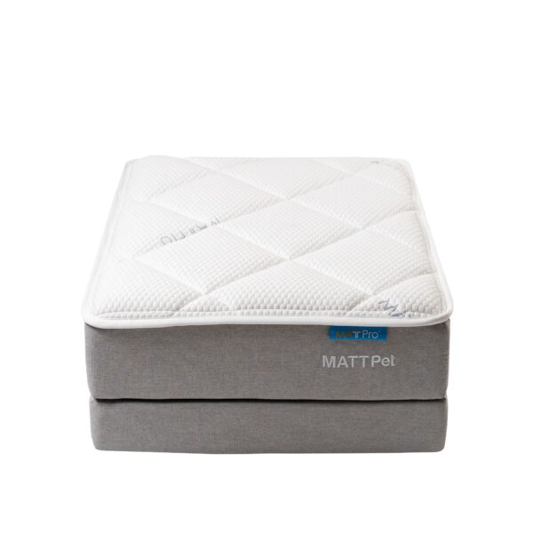MATTPet - Image 2