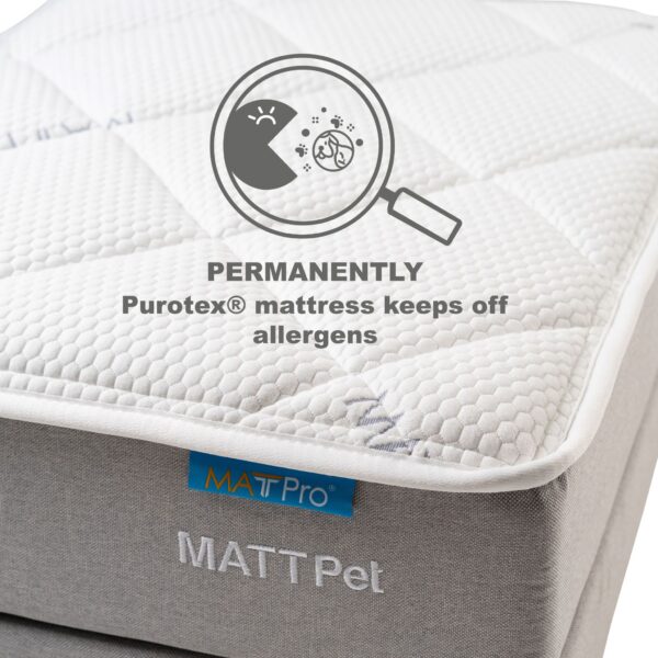 MATTPet - Image 4