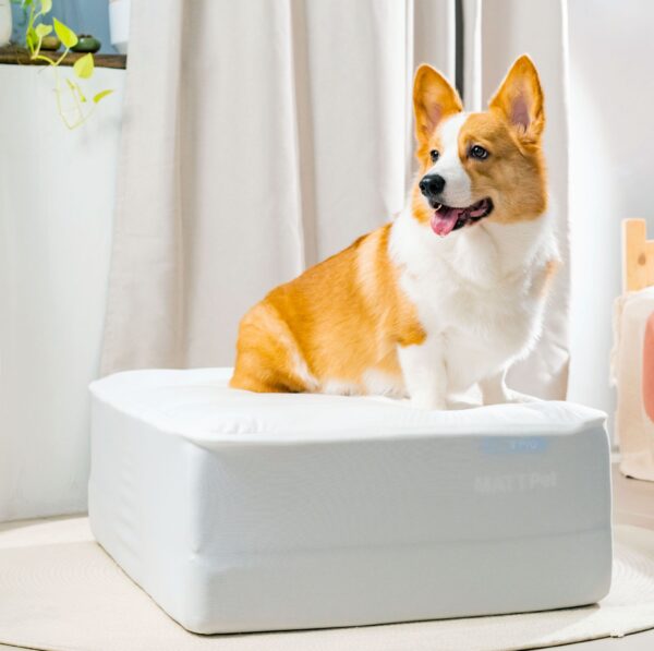 MATTPet Waterproof Protector - Image 2