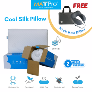 Cool Silk Pillow