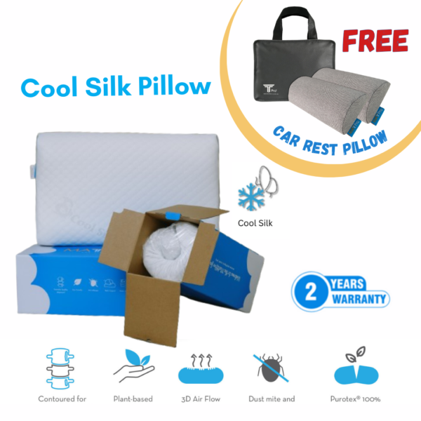 Cool Silk Pillow